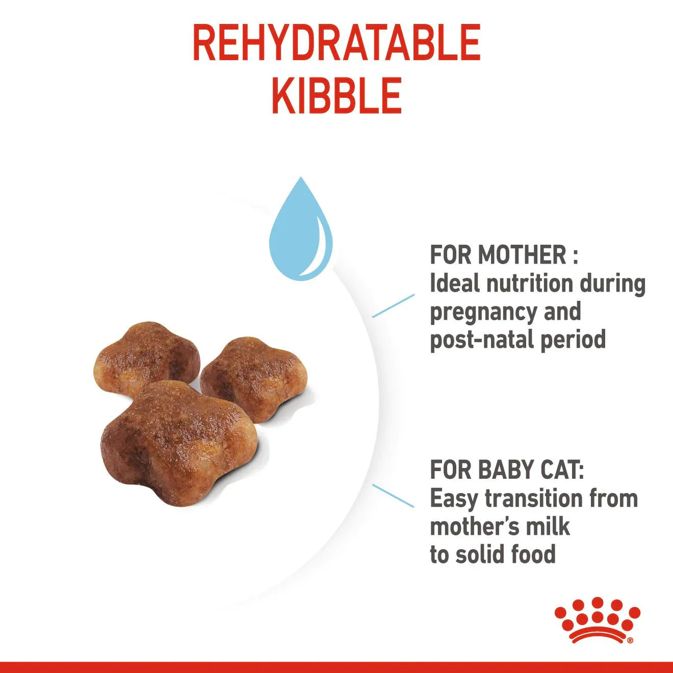 Royal Canin Feline Health Nutrition Mother and Babycat 2 KG