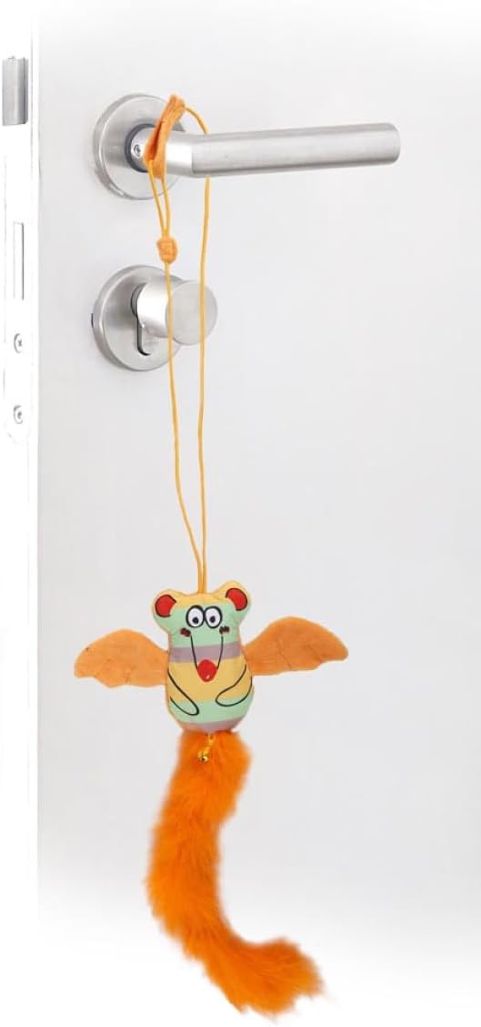 All For Paws Catoon - Flying Mouse