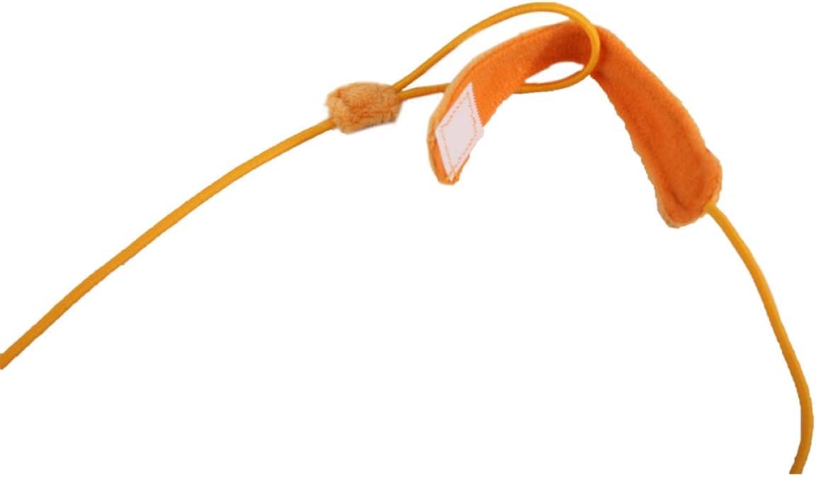 All For Paws Catoon - Flying Mouse