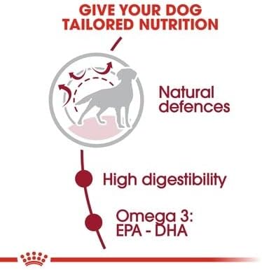 Royal Canin Medium Adult Dry Dog Food - 15KG