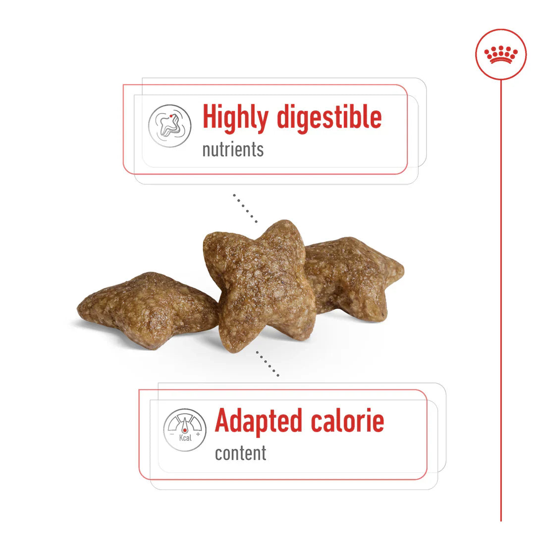 Royal Canin Size Health Nutrition Mini Adult 8 KG