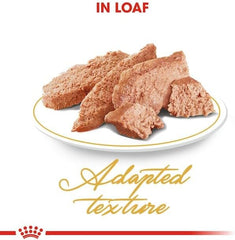 Royal Canin Feline Breed Nutrition Persian (WET FOOD - Pouches)