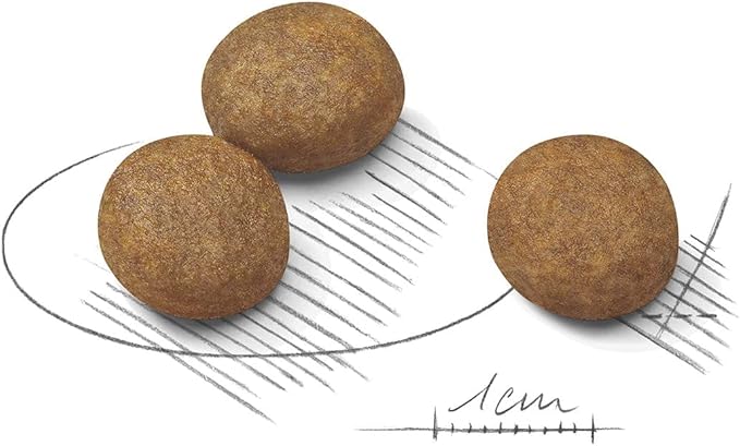 Royal Canin Maxi Puppy Dry Food - 4KG