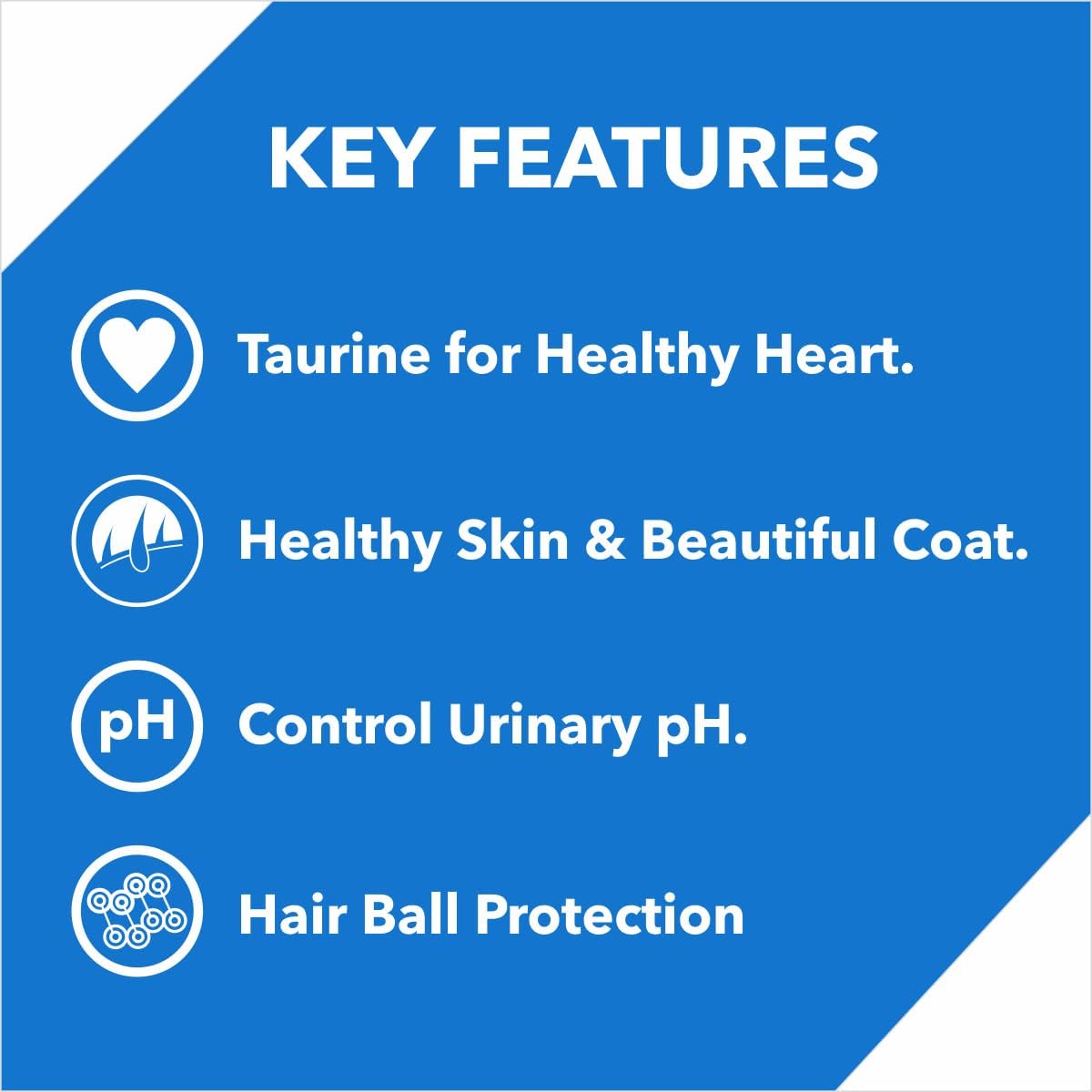 Drools Kitten Ocean Fish Dry Cat Food 1.2 kg