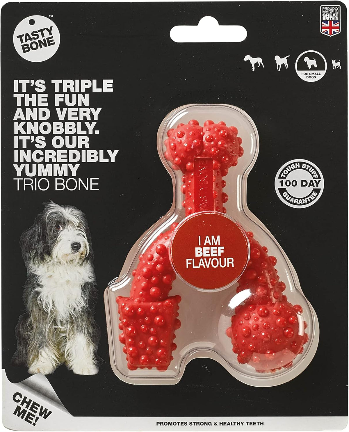 Tasty Bone Nylon Trio Dog Chew Toy, Durable & Indestructible Chew for Small Dogs, Beef Flavor