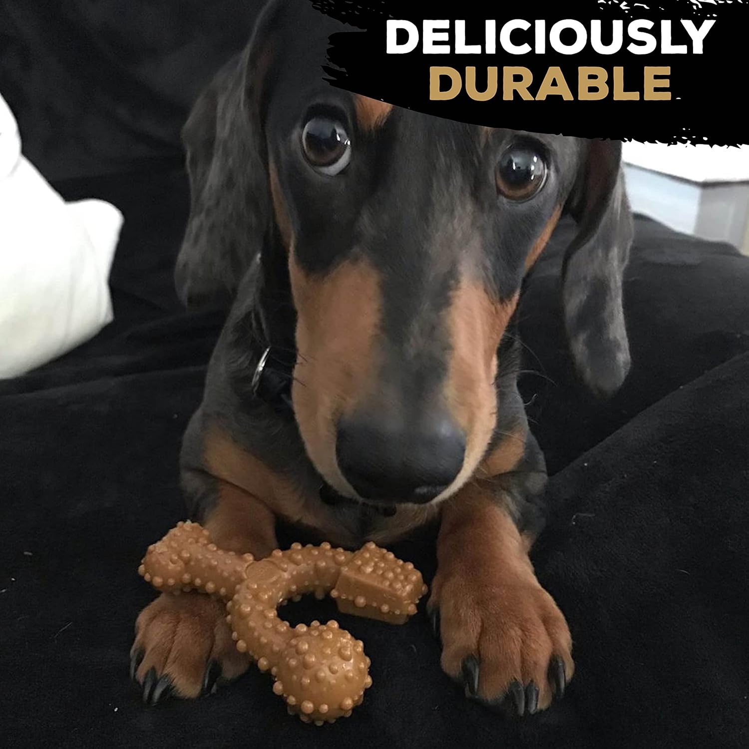 Tasty Bone TrioBone | Nylon Dog Chew for Toy Dogs (Peanut Butter Flavoured) | Exceptionally Tough, Promotes Healthy Teeth & Gums | Triple The Fun | (Made in the UK from 100% Virgin Nylon)