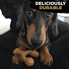 Tasty Bone TrioBone | Nylon Dog Chew for Toy Dogs (Peanut Butter Flavoured) | Exceptionally Tough, Promotes Healthy Teeth & Gums | Triple The Fun | (Made in the UK from 100% Virgin Nylon)