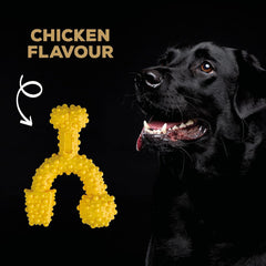 Tasty Bone Nylon Trio Dog Chew Toy, Durable & Indestructible Chew for Large Dogs, Chicken Flavor