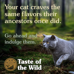 Taste of the Wild Canyon River Feline Recipe with Trout and Smoked Salmon High Protein Dry Cat Food 2 kg