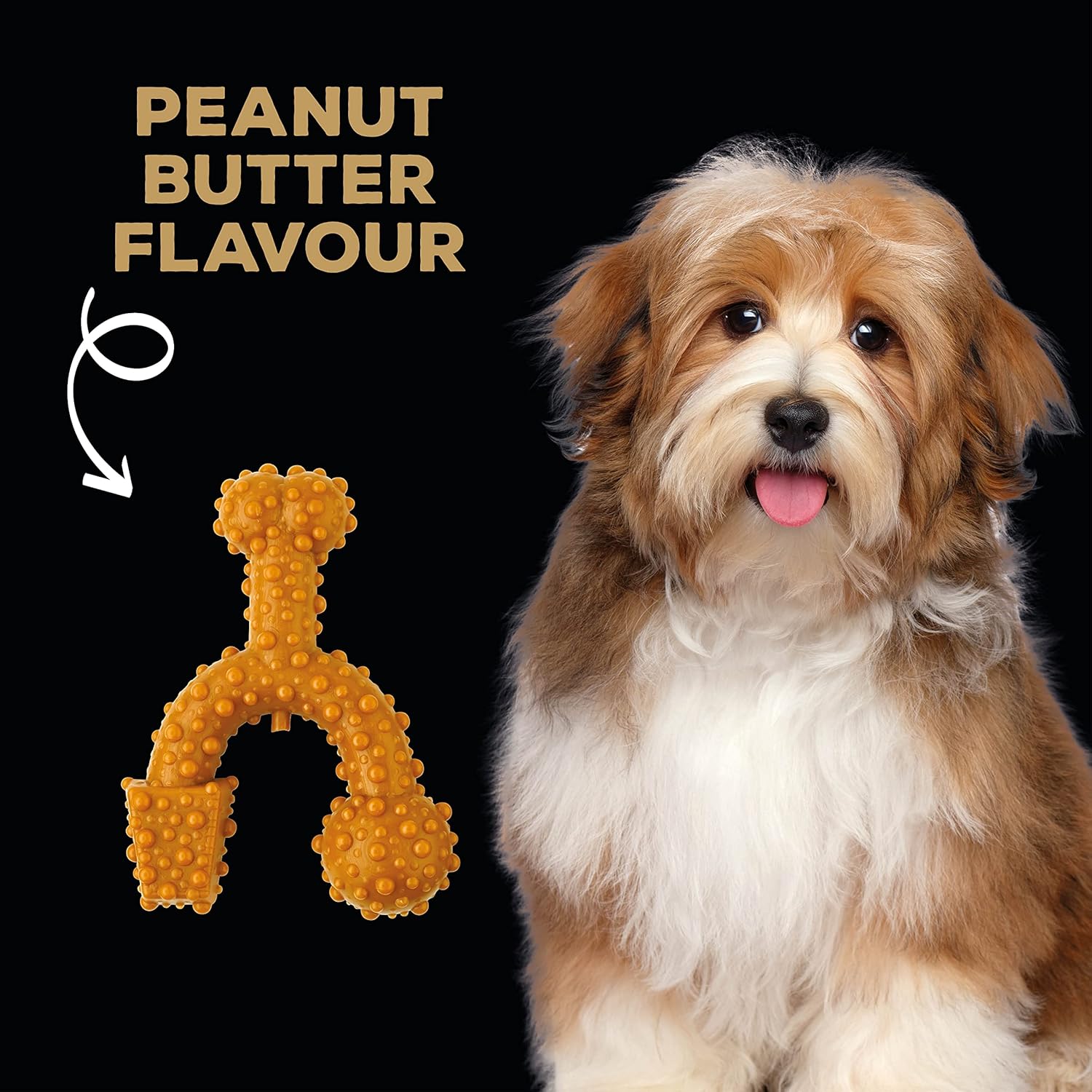 Tasty Bone TrioBone | Nylon Dog Chew for Toy Dogs (Peanut Butter Flavoured) | Exceptionally Tough, Promotes Healthy Teeth & Gums | Triple The Fun | (Made in the UK from 100% Virgin Nylon)