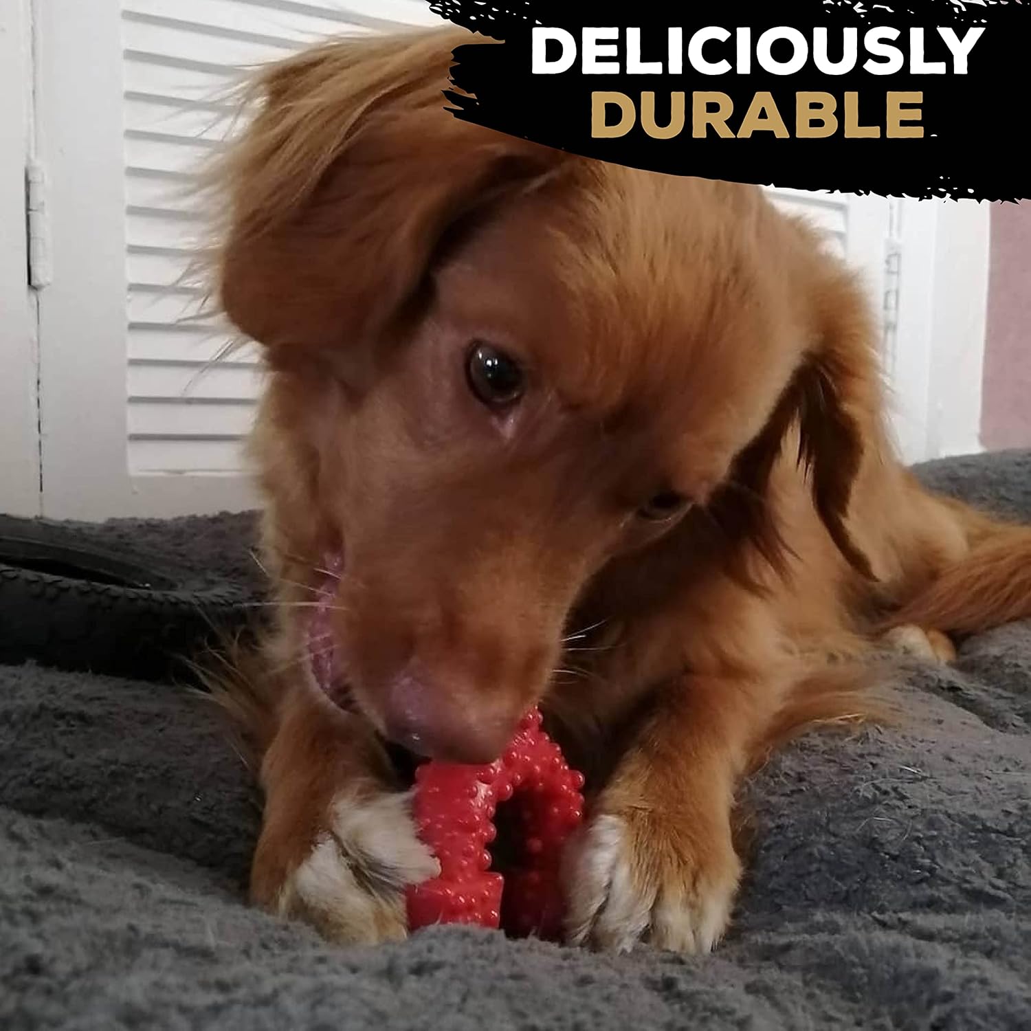 Tasty Bone Nylon Trio Dog Chew Toy, Durable & Indestructible Chew for Small Dogs, Beef Flavor