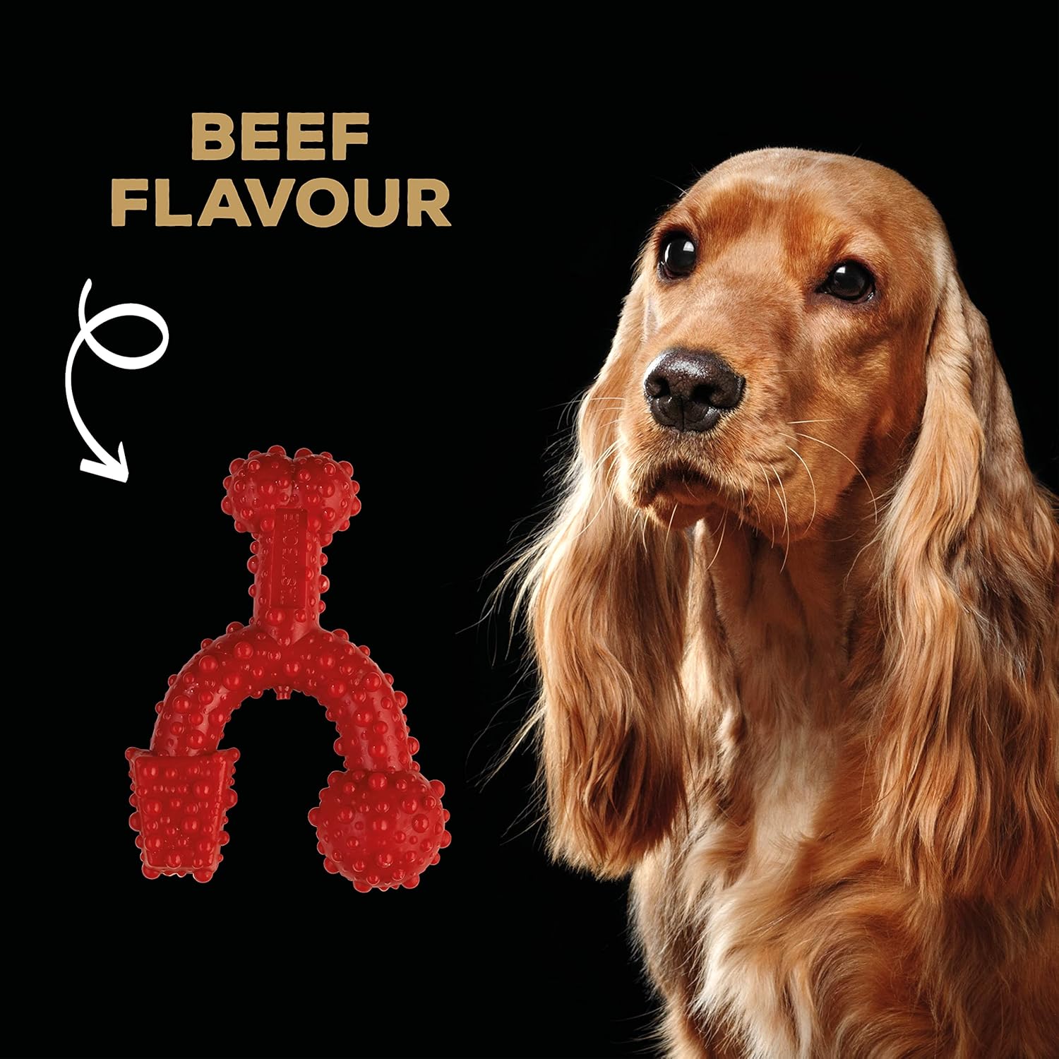 Tasty Bone Nylon Trio Dog Chew Toy, Durable & Indestructible Chew for Small Dogs, Beef Flavor