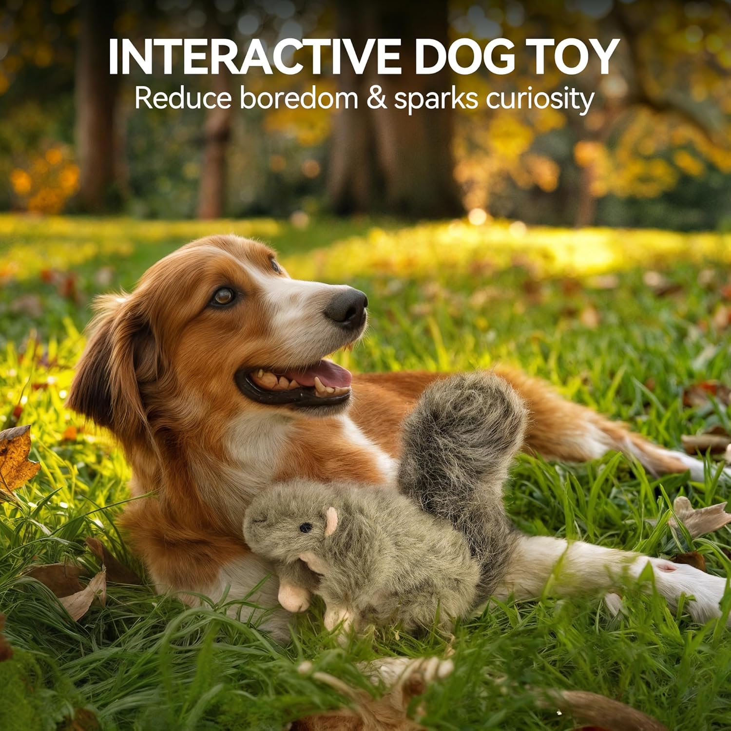 All For Paws Classic - Squirrel Small