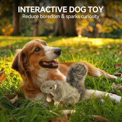 All For Paws Classic - Squirrel Small