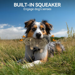 All For Paws Classic - Squirrel Small