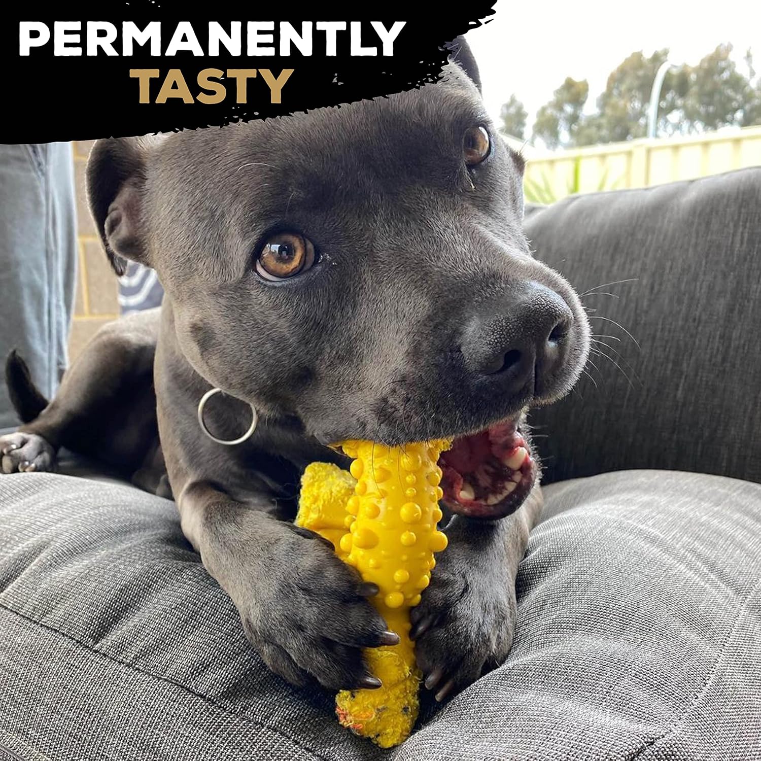 Tasty Bone Nylon Trio Dog Chew Toy, Durable & Indestructible Chew for Large Dogs, Chicken Flavor