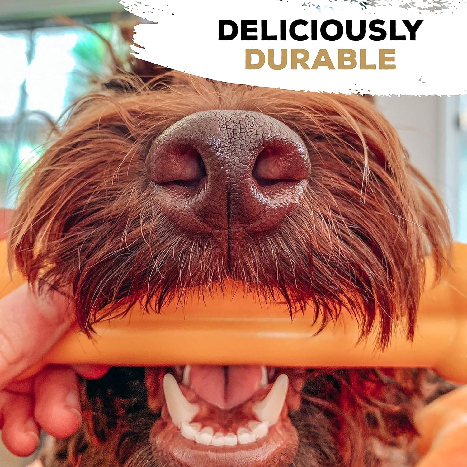 Tasty Bone Nylon Dog Chew Toy, Durable & Indestructible Chew for Large Dogs, Bacon Flavor