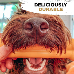 Tasty Bone Nylon Dog Chew Toy, Durable & Indestructible Chew for Large Dogs, Bacon Flavor