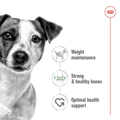 Royal Canin Size Health Nutrition Mini Adult 8 KG