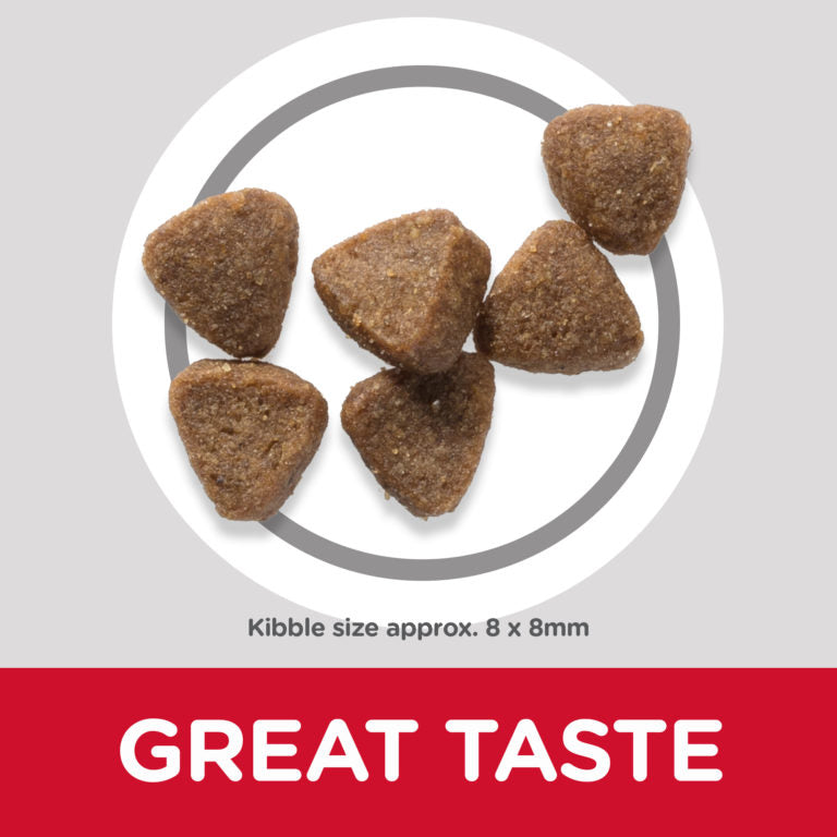 Hill’s Science Plan Kitten Food With Chicken 300g