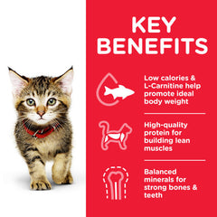 Hill’s Science Plan Kitten Food With Chicken 300g