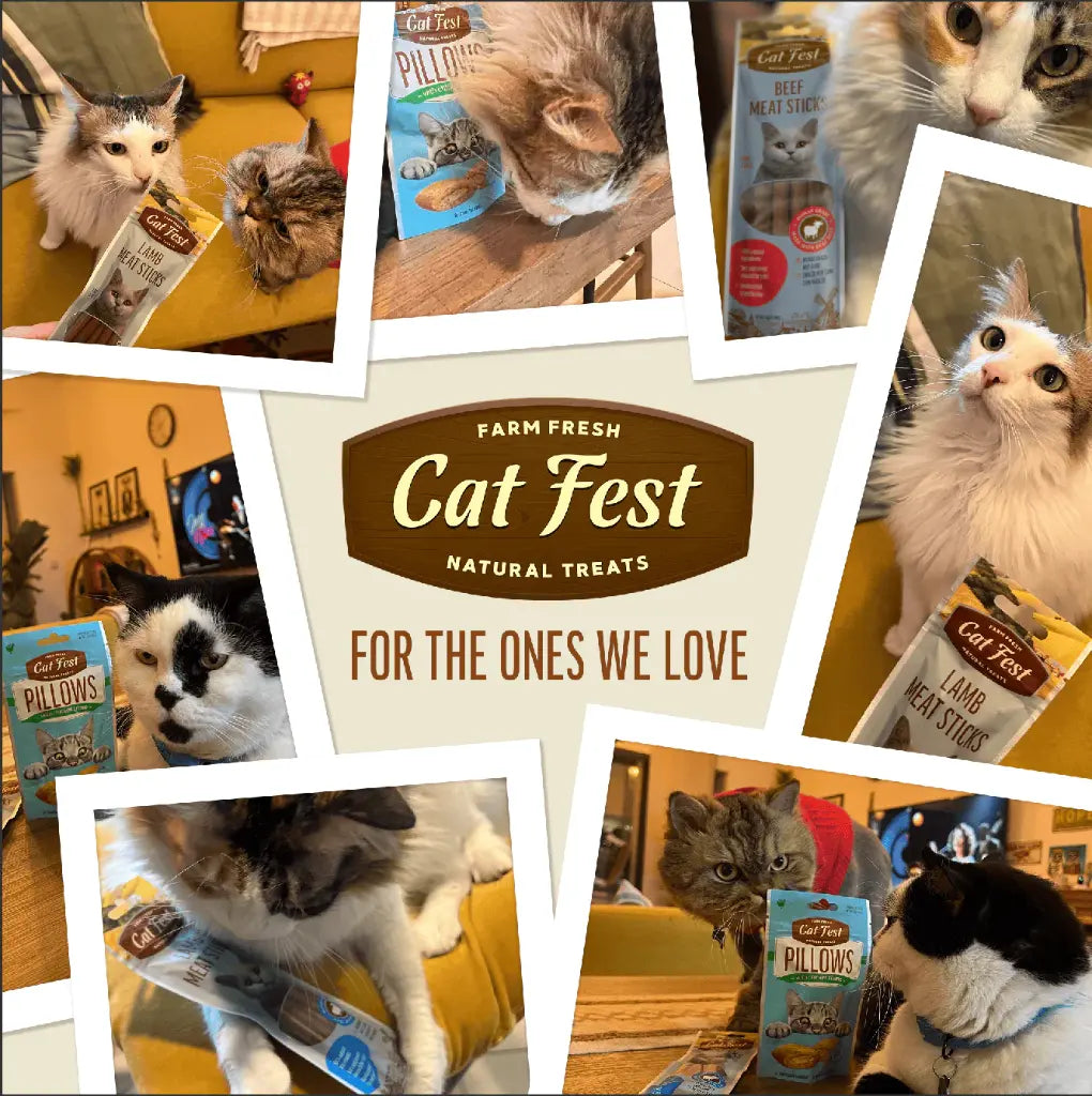 Cat Fest Meat Sticks Beef For Cat - 45g