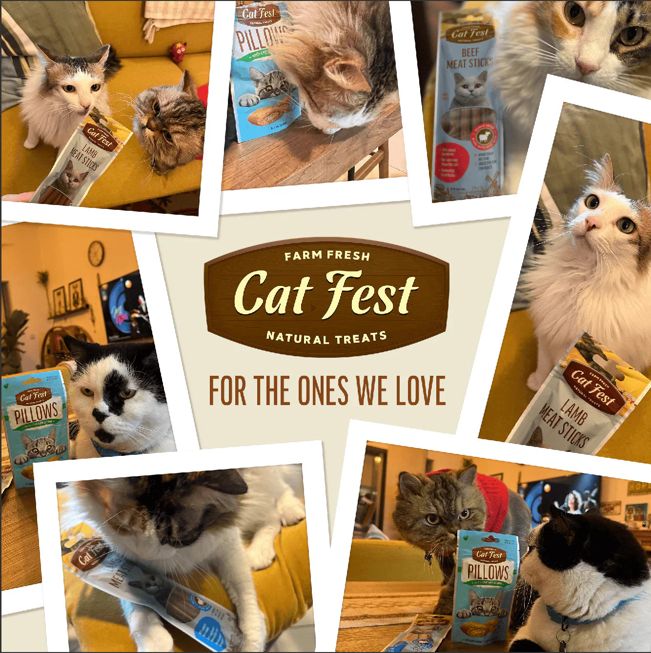 Cat Fest Meat Sticks Duck For Cat - 45g