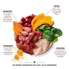Lily's Kitchen Coronation Chicken Wet Dog Food