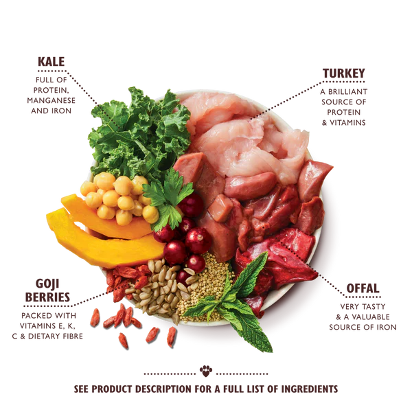 Lily's Kitchen Lean Machine Wet Dog Food TURKEY