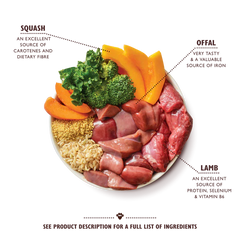 Lily's Kitchen Dog Tagine LAMB