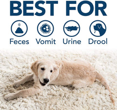 Simple Solution Extreme Pet Stain and Odor Remover 32 OZ