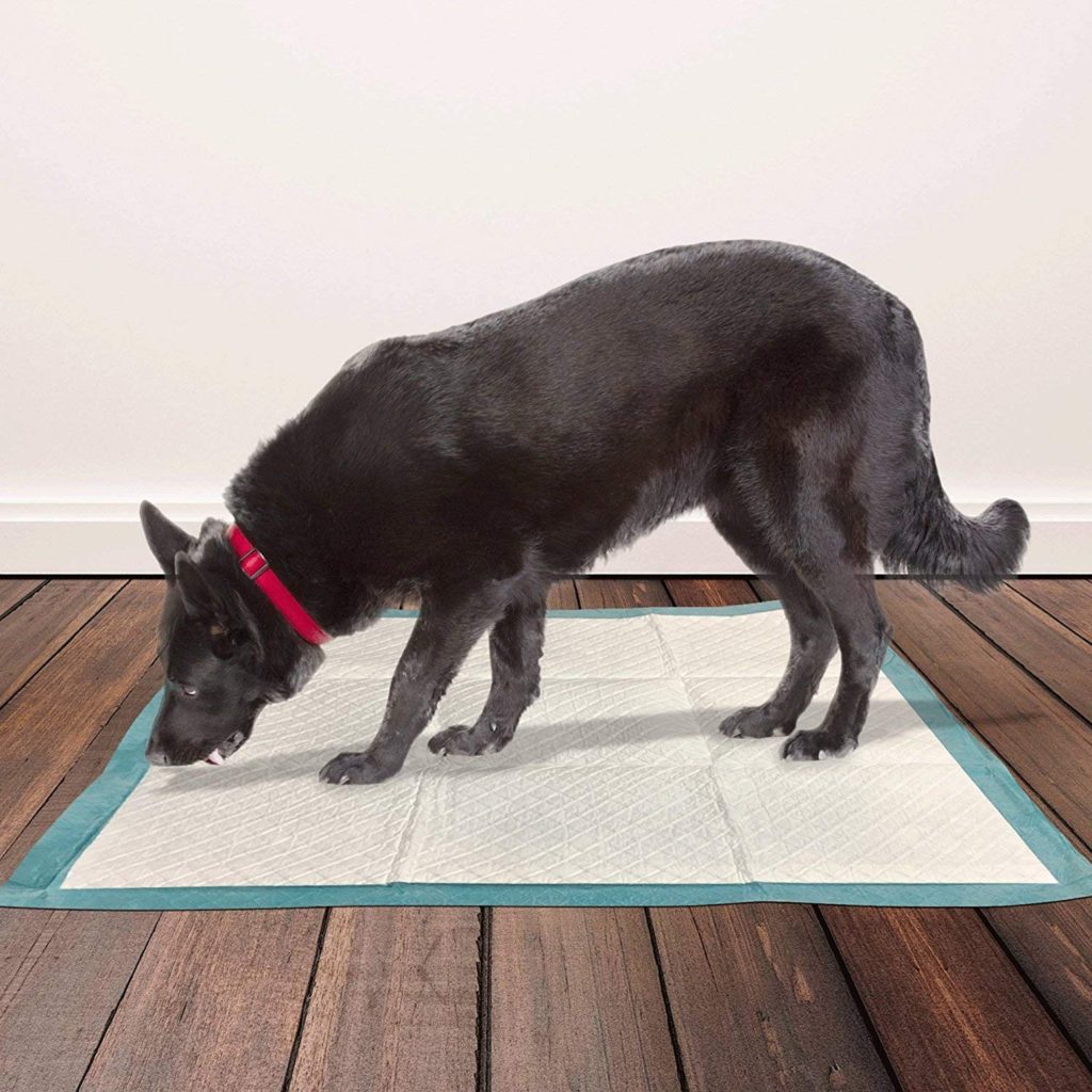 Simple Solution Puppy Training Pads XL – 10