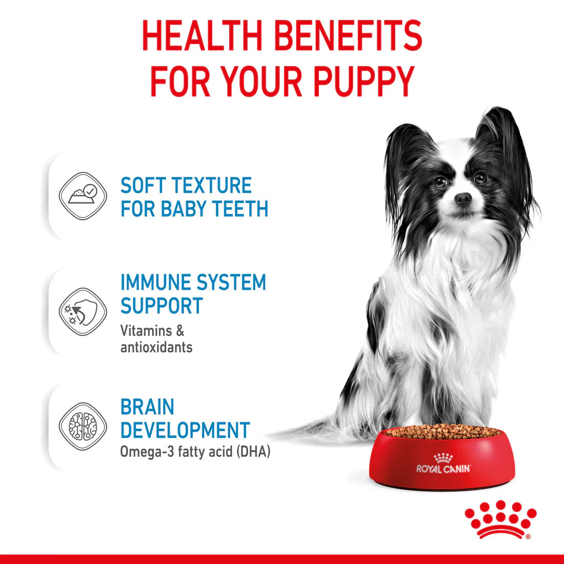 Royal Canin Size Health Nutrition XS Puppy 1.5 KG