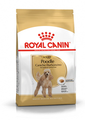 Royal Canin Breed Health Nutrition Poodle Adult 1.5 KG
