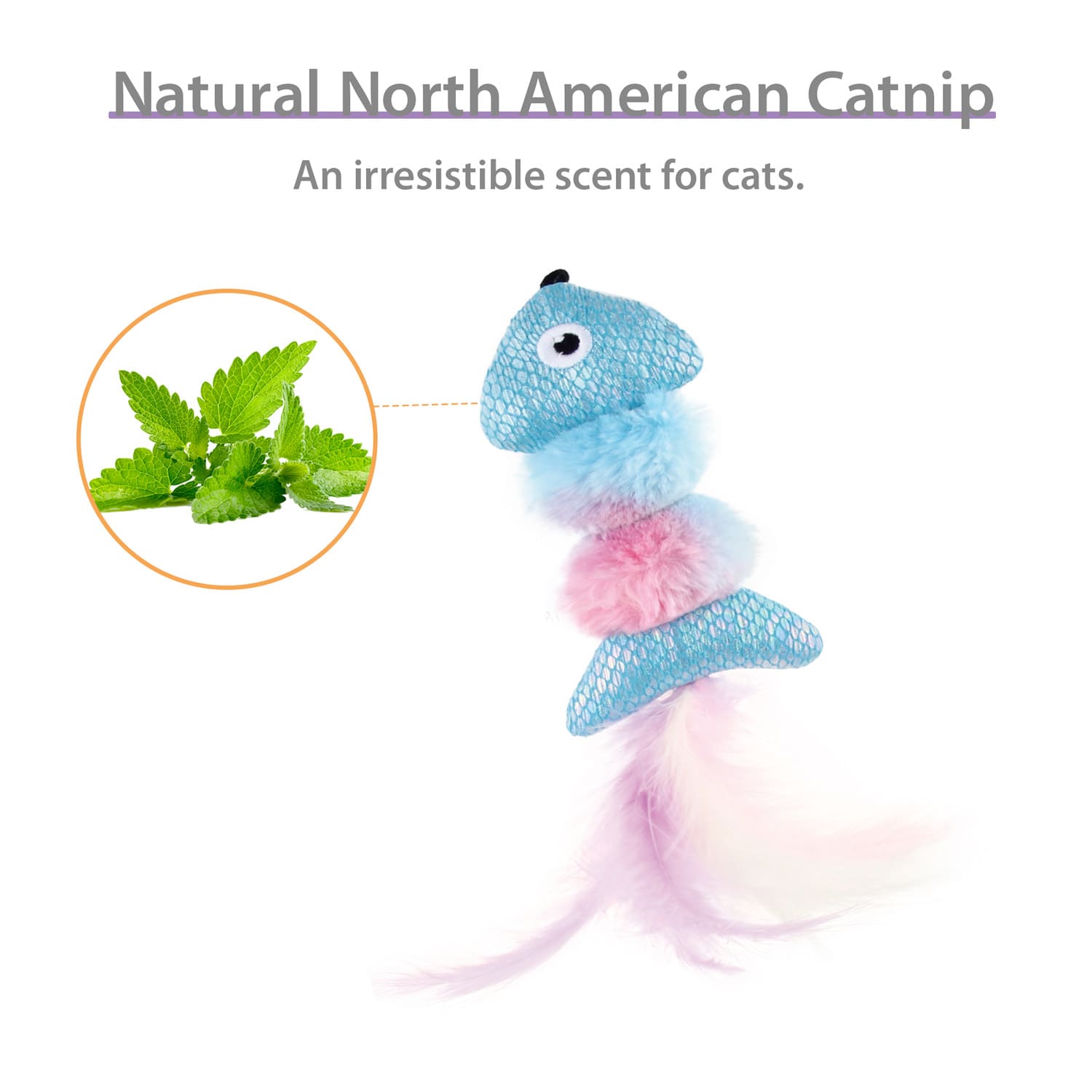 GiGwi Catch & Scratch Fish