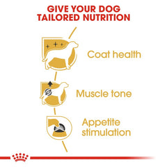Royal Canin Breed Health Nutrition Poodle Adult (Wet Food - Pouches) 12 x 85 g