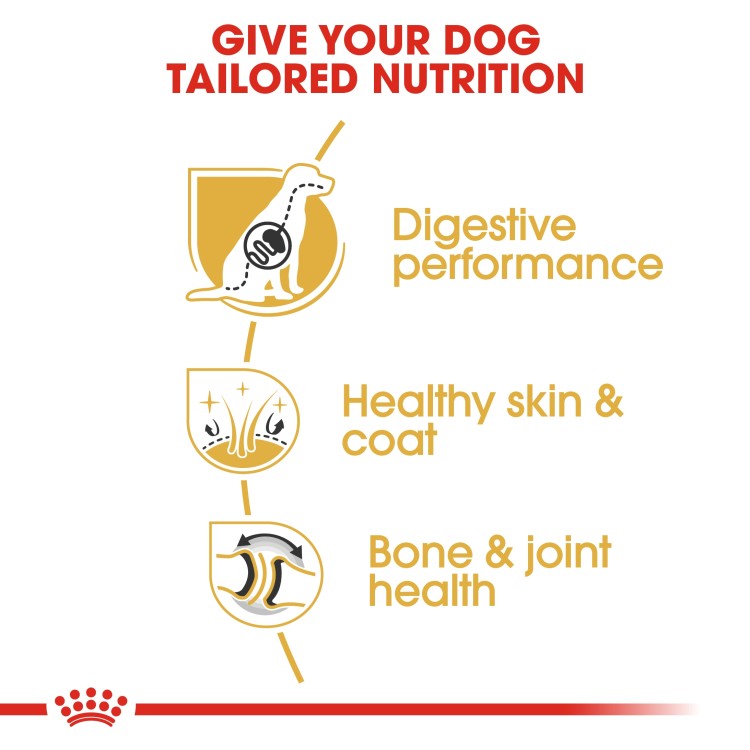 Royal Canin Breed Health Nutrition German Shepherd Adult 11 kg