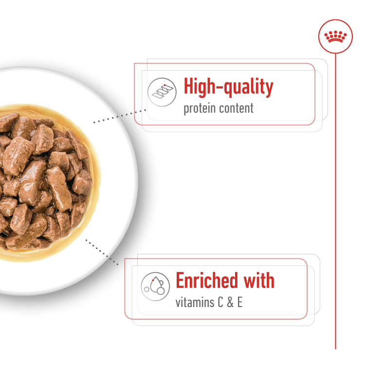 Royal Canin Size Health Nutrition Medium Adult (Wet Food - Pouches) 10 x 140 g