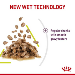 Royal Canin Feline Health Nutrition Sensory Smell Gravy (Wet Food - Pouches) 12X85 g