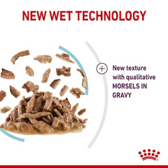 Royal Canin Feline Health Nutrition Sensory Feel Gravy (Wet Food - Pouches) 12 x 85 g
