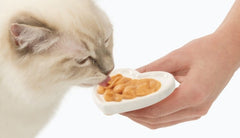 Catit Creamy Lickable Treats,Salmon & Prawns, 12pk/box