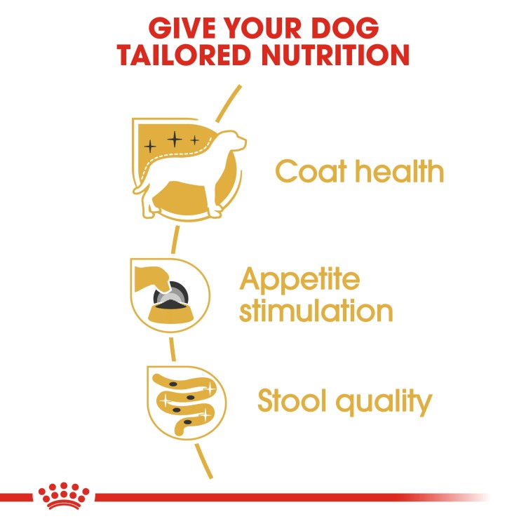 Royal Canin Breed Health Nutrition Yorkshire Adult (Wet Food - Pouches) 12 x 85 g