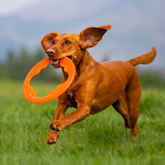 Hagen BIONIC Toss-N-Tug Turbo 24 cm