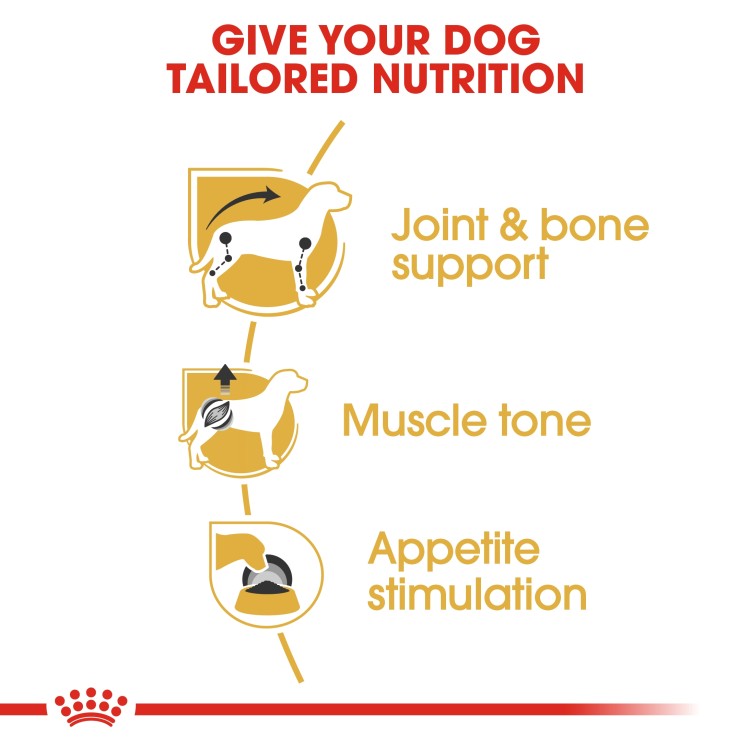 Royal Canin Breed Health Nutrition Dachshund Adult (Wet Food - Pouches) 12 x 85 g