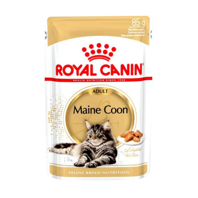 ROYAL CANIN FELINE BREED NUTRITION MAINE COON (WET FOOD - POUCHES) 1X85G