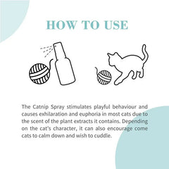 Bioline Catnip Spray - 50ml
