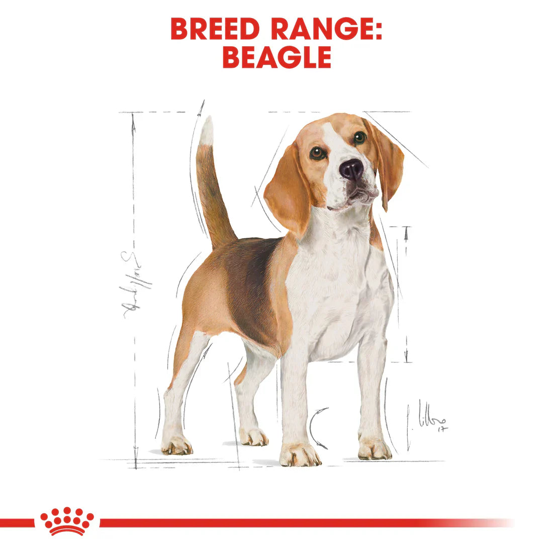 Royal Canin Breed Health Nutrition Beagle Adult 3 KG