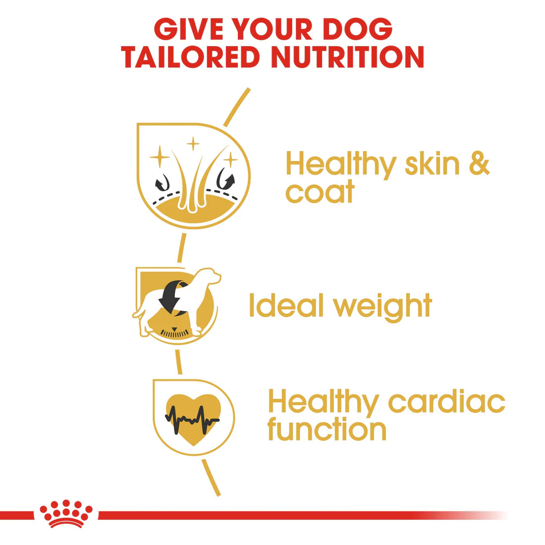 Royal Canin Breed Health Nutrition Cocker Adult 3 KG