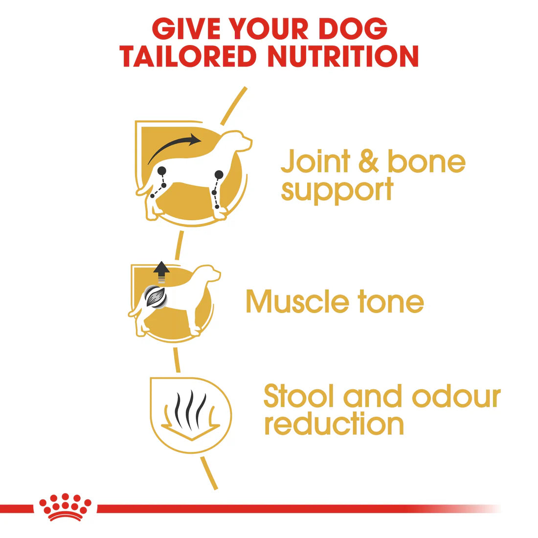 Royal Canin Breed Health Nutrition Dachshund Adult 1.5 KG