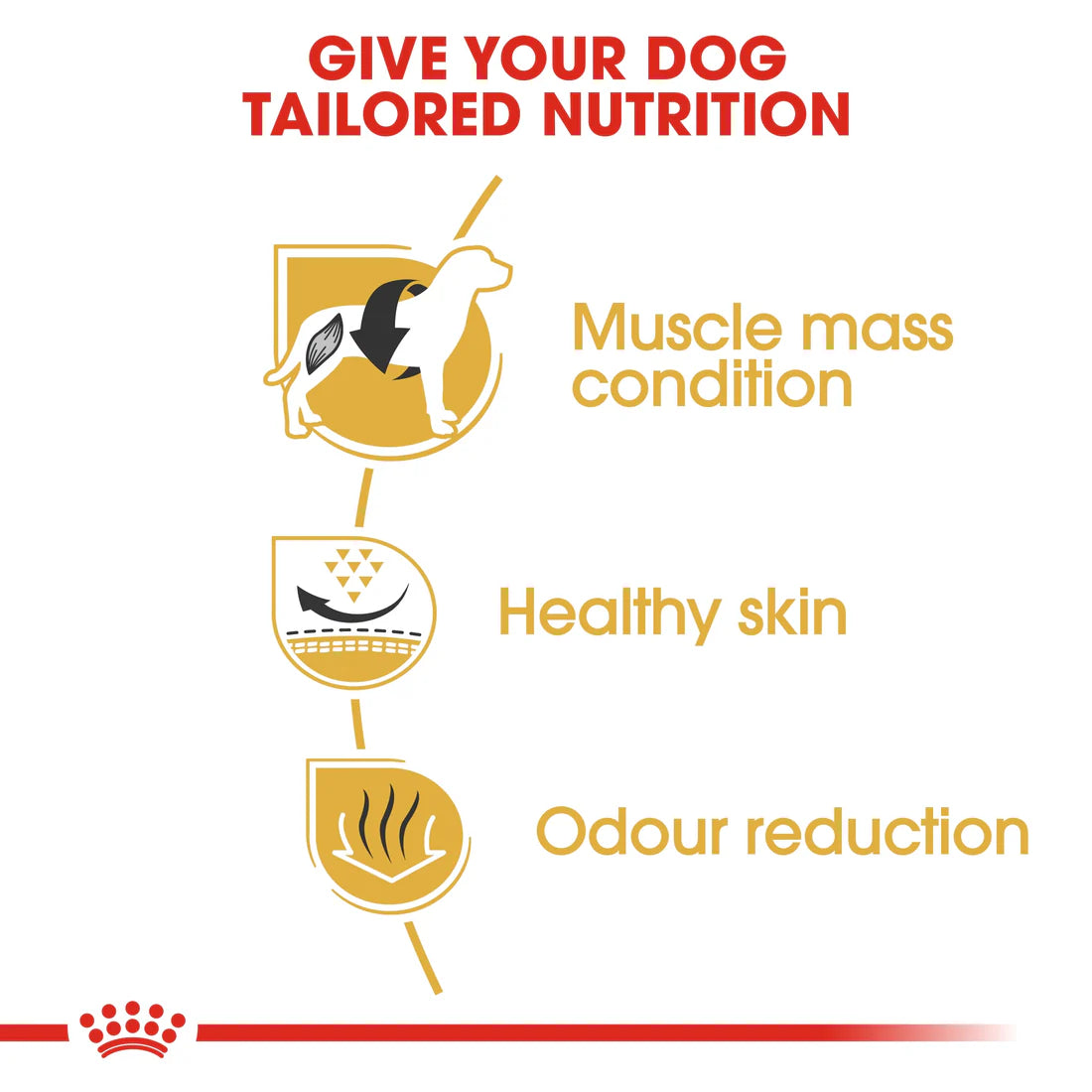 Royal Canin Breed Health Nutrition French Bulldog Adult 3 KG